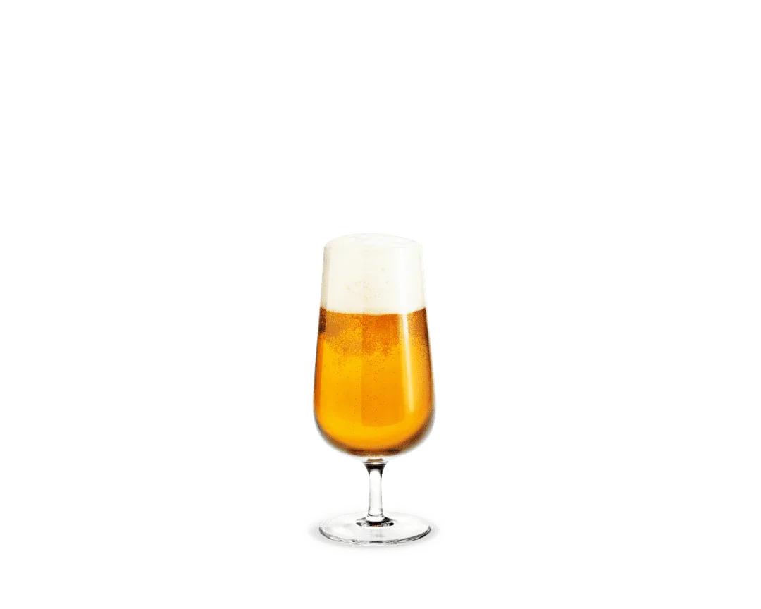 HOLMEGAARD BOUQUET ØLGLAS 53 CL 6-PAK