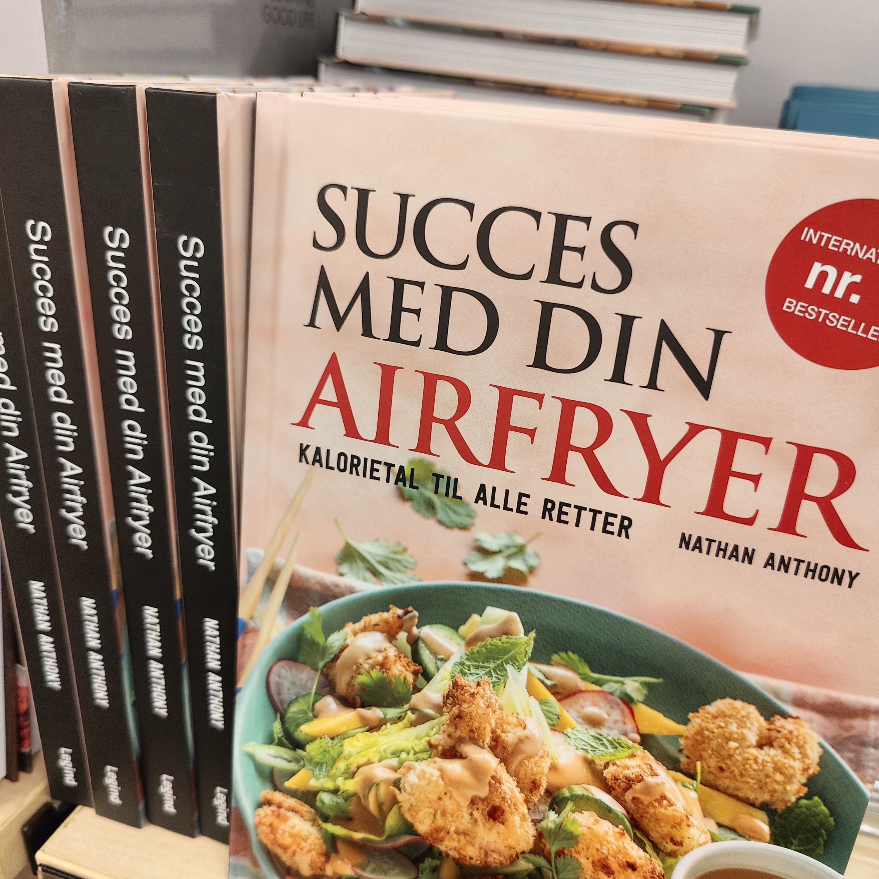AIRFRYERBOG "SUCCES MED DIN AIRFRYER"