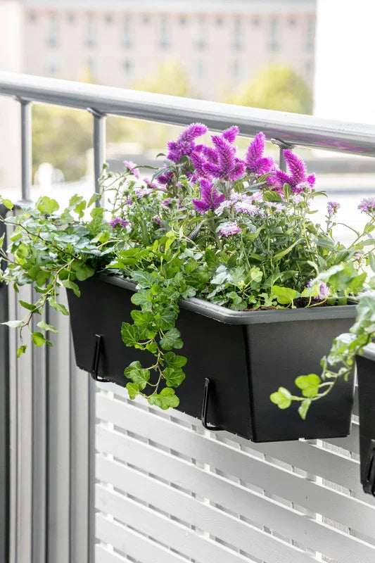 ALTANKASSE 60 CM SORT BOTANICA