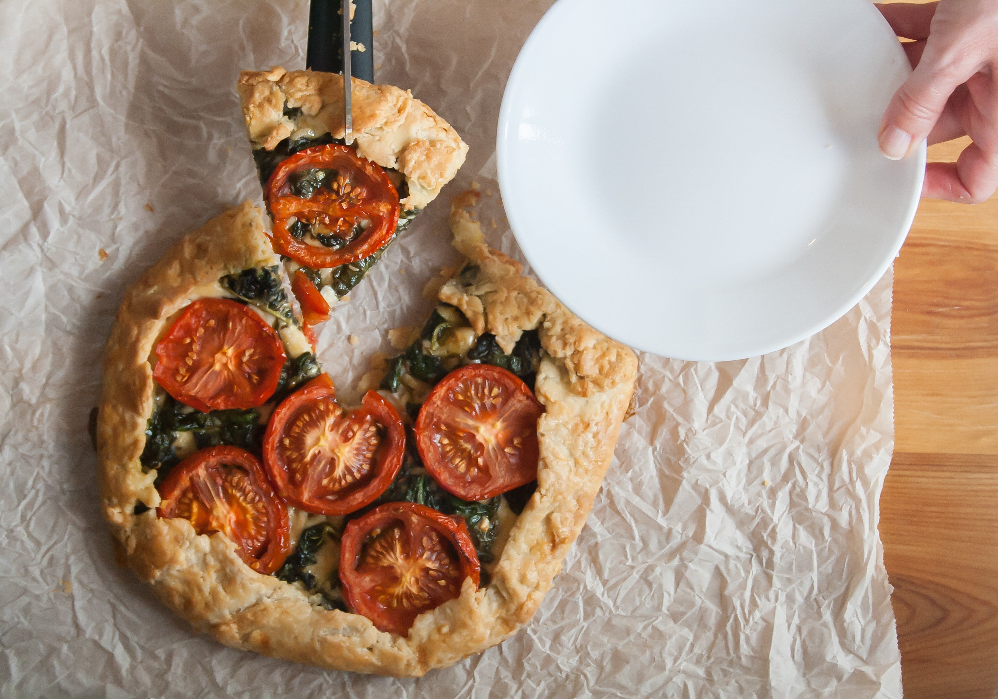 DREAMFARM SCIZZA PIZZASAKS SORT