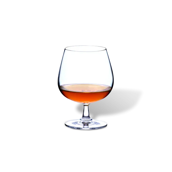 ROSENDAHL GRAND CRU COGNACGLAS 40 CL. 2-PAK