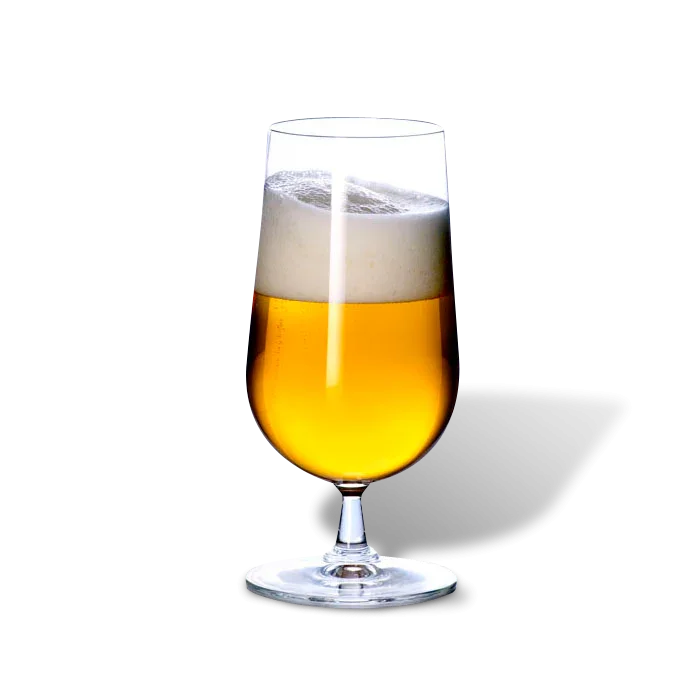 ROSENDAHL GRAND CRU ØLGLAS 50 CL. 2-PAK