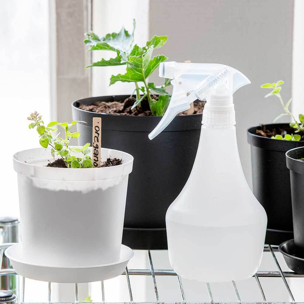 ORTHEX CHAPLIN FORSTØVER 0,5 L FROST