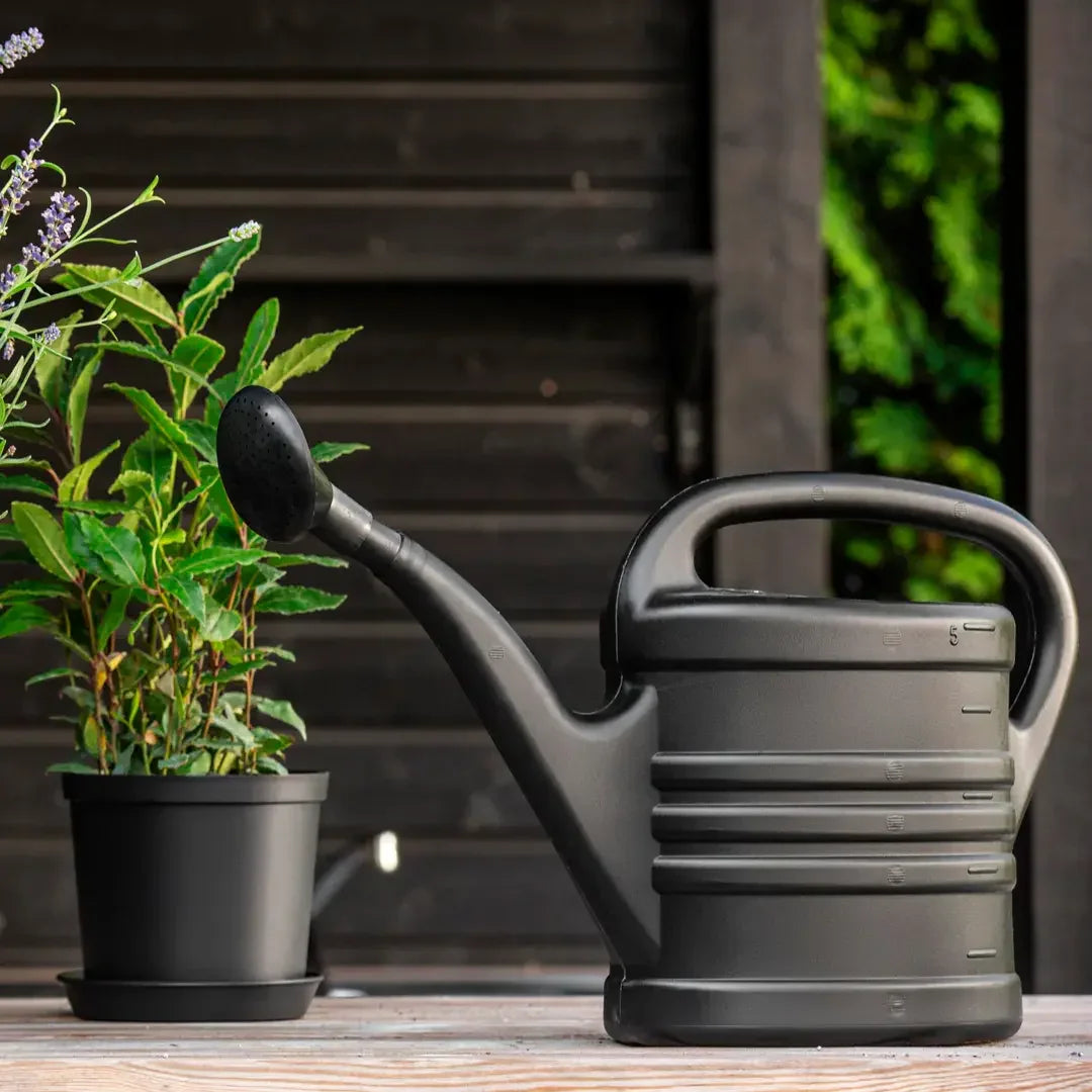 ORTHEX VANDKANDE 5 L SORT PLAST