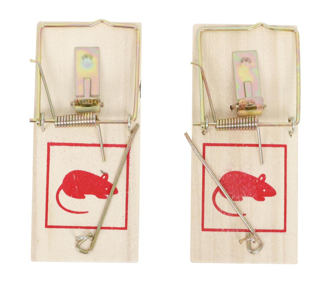 HOME-IT MUSEFÆLDE TRÆ 2 STK