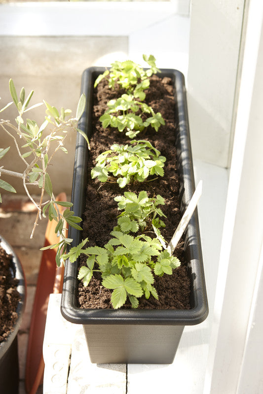 ALTANKASSE 60 CM SORT BOTANICA
